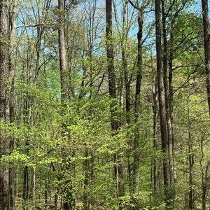 Meet your Posher, Cam